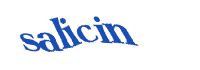 Là một trong top 10 Công ty du lịch uy tín nhất miền Trung, cùng với lịch sử hơn 12 năm phát triển không ngừng, Nam Á Đông Travel đã khẳng định vững chắc vị trí về chất lượng dịch vụ và hiệu quả kinh doanh trên thị trường du lịch trong nước