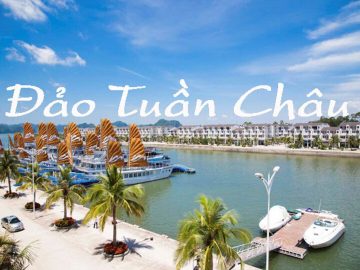 Là một trong top 10 Công ty du lịch uy tín nhất miền Trung, cùng với lịch sử hơn 12 năm phát triển không ngừng, Nam Á Đông Travel đã khẳng định vững chắc vị trí về chất lượng dịch vụ và hiệu quả kinh doanh trên thị trường du lịch trong nước