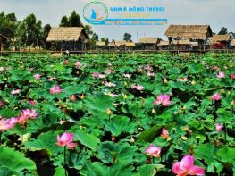 Là một trong top 10 Công ty du lịch uy tín nhất miền Trung, cùng với lịch sử hơn 12 năm phát triển không ngừng, Nam Á Đông Travel đã khẳng định vững chắc vị trí về chất lượng dịch vụ và hiệu quả kinh doanh trên thị trường du lịch trong nước