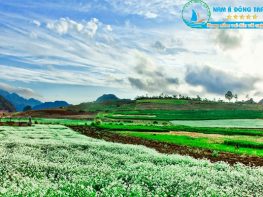 Là một trong top 10 Công ty du lịch uy tín nhất miền Trung, cùng với lịch sử hơn 12 năm phát triển không ngừng, Nam Á Đông Travel đã khẳng định vững chắc vị trí về chất lượng dịch vụ và hiệu quả kinh doanh trên thị trường du lịch trong nước