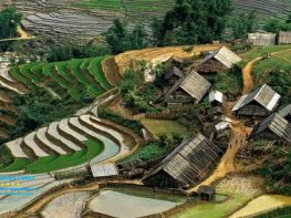 Là một trong top 10 Công ty du lịch uy tín nhất miền Trung, cùng với lịch sử hơn 12 năm phát triển không ngừng, Nam Á Đông Travel đã khẳng định vững chắc vị trí về chất lượng dịch vụ và hiệu quả kinh doanh trên thị trường du lịch trong nước