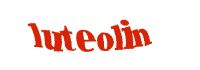 Là một trong top 10 Công ty du lịch uy tín nhất miền Trung, cùng với lịch sử hơn 12 năm phát triển không ngừng, Nam Á Đông Travel đã khẳng định vững chắc vị trí về chất lượng dịch vụ và hiệu quả kinh doanh trên thị trường du lịch trong nước